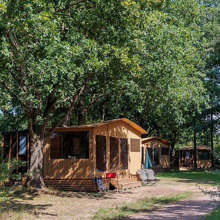 Huttopia De Roos Stegeren Kültér fotó