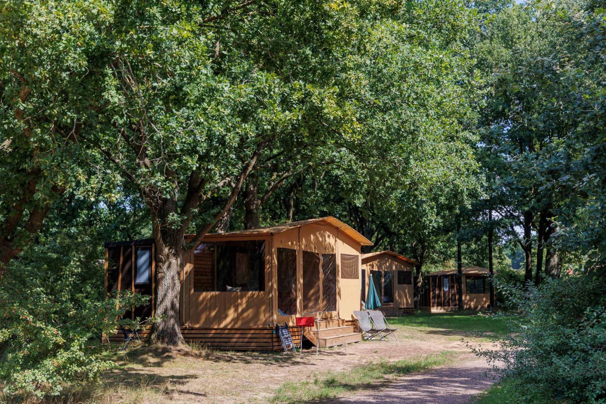 Huttopia De Roos Stegeren Kültér fotó